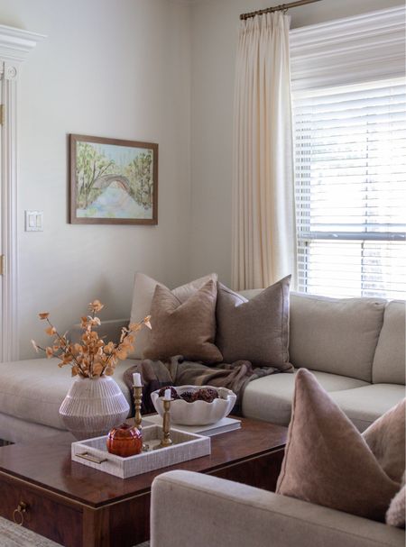 Living room decor, wood coffee table, fall decor, autumn decor, tray, bowl 

#LTKstyletip #LTKhome