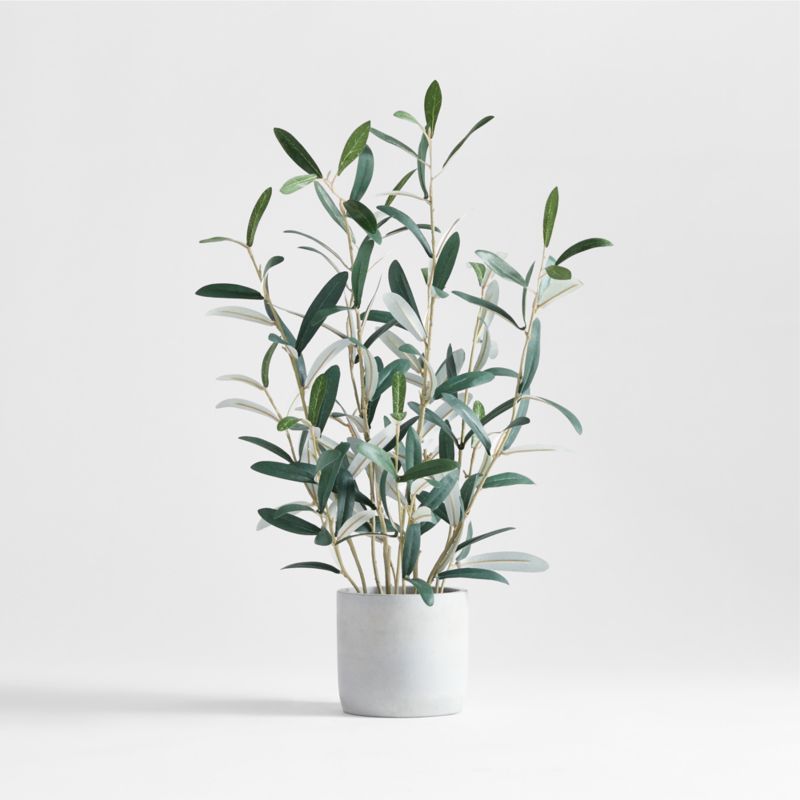 Potted Faux Olive Tree 22" + Reviews | Crate & Barrel | Crate & Barrel