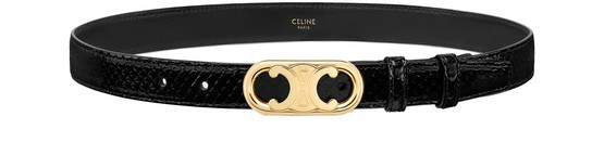 MEDIUM MAILLON TRIOMPHE BELT in Python - CELINE | 24S (APAC/EU)