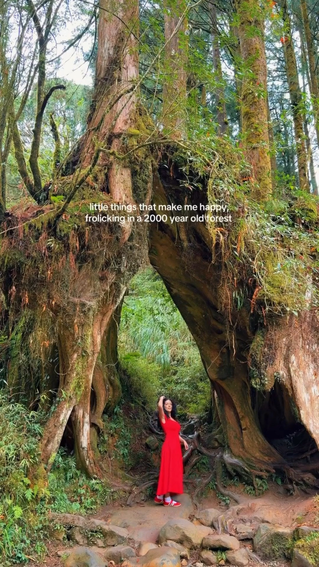 little moments, big magic 🌲✨ found my kind of peace somewhere between ancient trees and getting completely lost in the moment

#travelmoments #natureescape #forestvibes #wanderlust #adventureawaits #travelstyle #exploremore #vacationdiaries #naturelover #magicalplaces

#LTKdayinmylife #LTKootd #LTKTravel