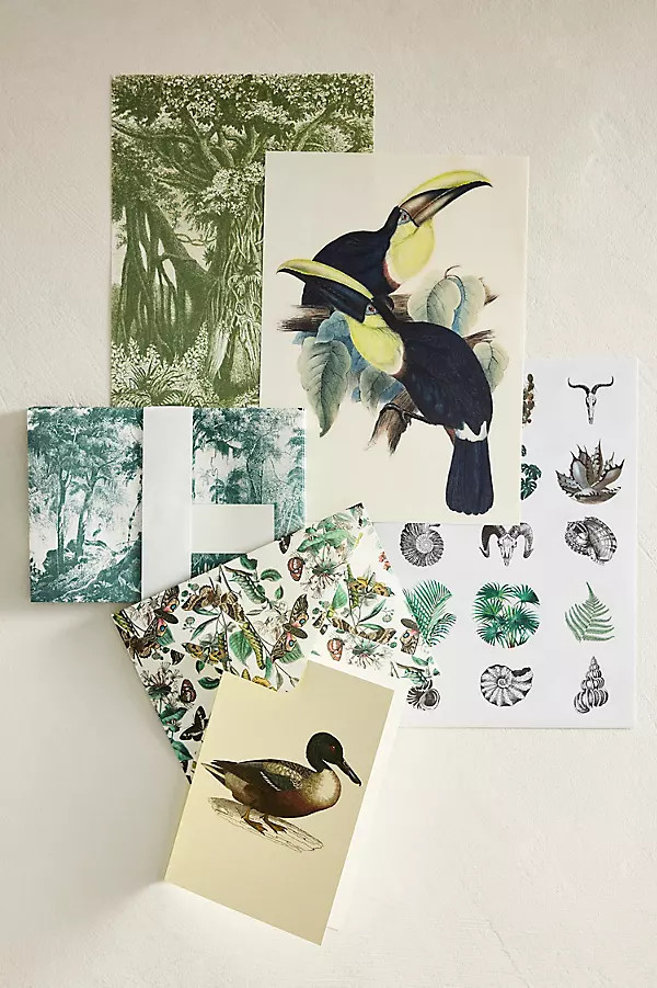 Natural History Stationery Set | Anthropologie (US)