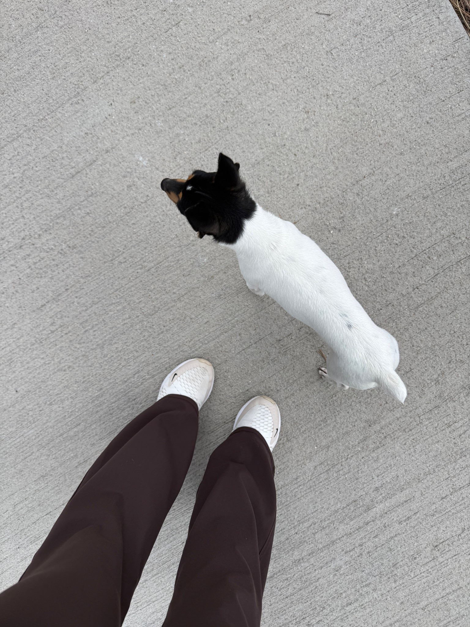 Sharing some of my favorite athleisure. I have these shoes in several different colors. One of my all time favorites!

#LTKActive #LTKdayinmylife #LTKootd