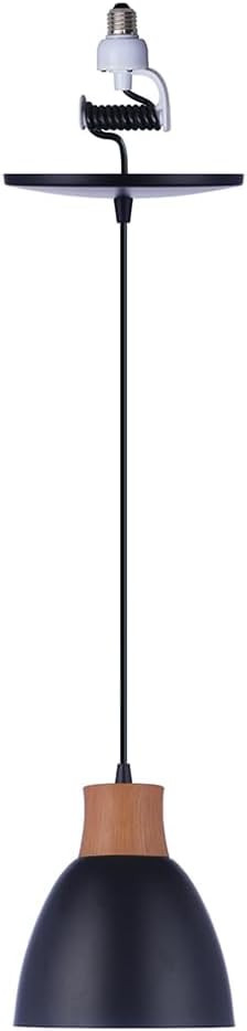 Worth Home Products- Instant Pendant Light - Matte Black + Wood Cap Metal - Recessed Light Conver... | Amazon (US)