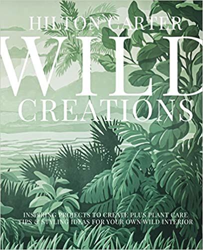 Wild Creations: Inspiring Projects to Create plus Plant Care Tips & Styling Ideas for Your Own Wi... | Amazon (US)