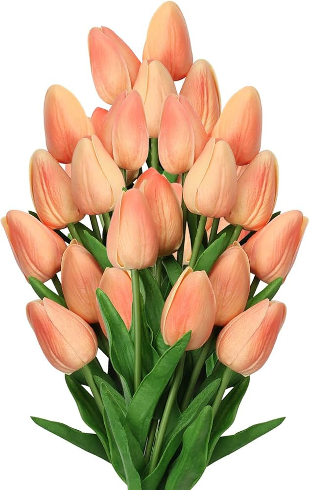20 Pcs Peach Tulips Artificial Flowers Real Touch Fake Tulips Fake Flowers for Mother's Day 13.5"... | Amazon (US)