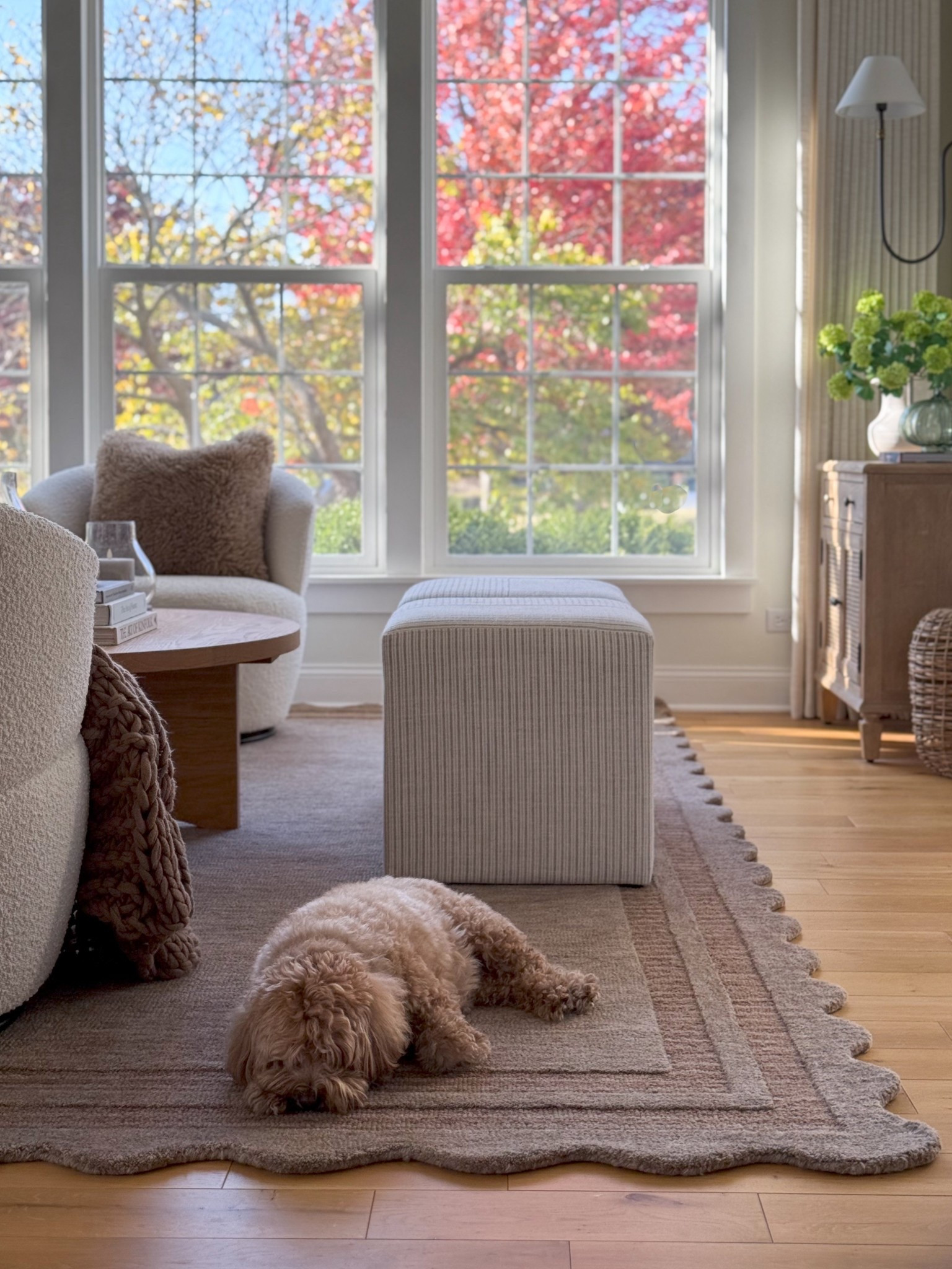 Amazon prime, sale, target, studio McGee, ottoman, cozy home, living room inspo, scalloped rug, sconces, pottery barn 

#LTKHome #LTKSaleAlert