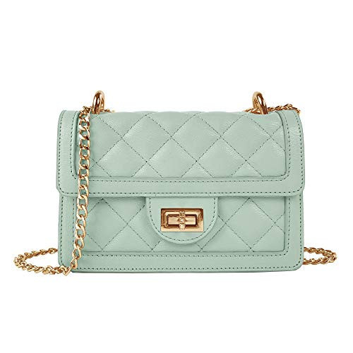 SG SUGU Small Quilted Crossbody Bag, Trendy Designer Shoulder Bag, Phone Wallet Purse for Women (Mint) | Amazon (US)