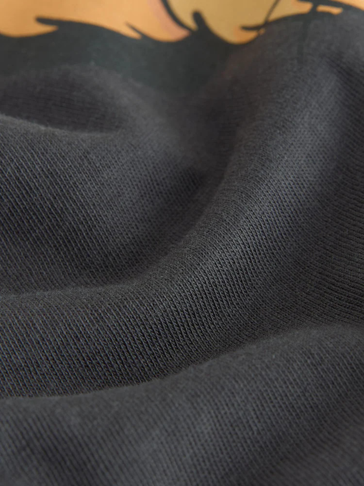 Charcoal Grey Lion King Short Sleeve T-Shirt (6mths-8yrs) | Next US