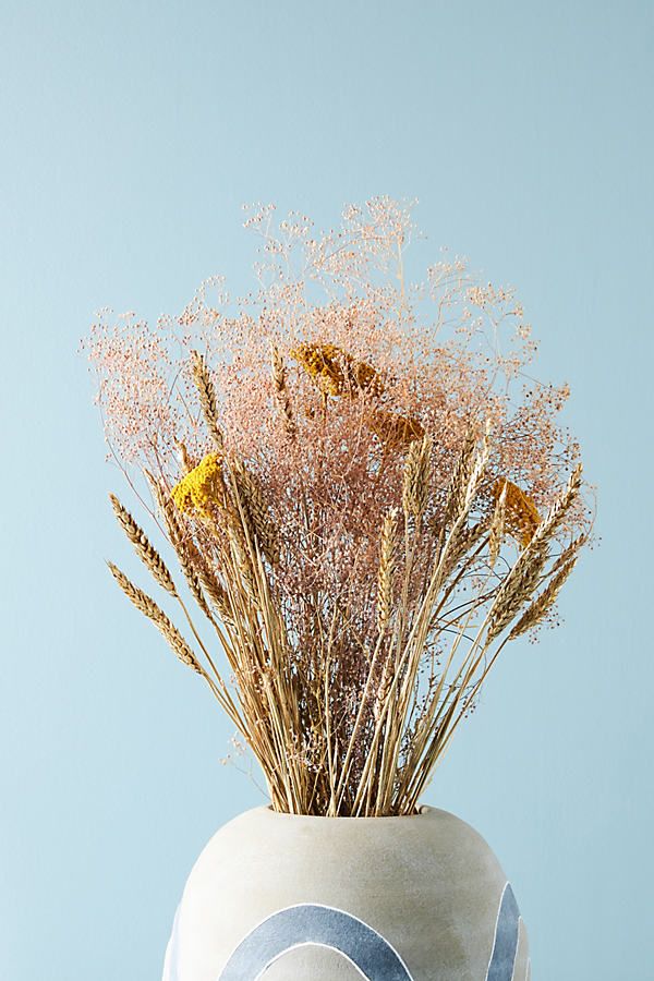 Dried Gypsophila Bouquet By Anthropologie in Pink | Anthropologie (US)
