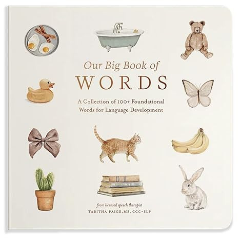 Our Big Book of First Words: A Collection of 100+ Foundational Words for Language Development (Ou... | Amazon (US)