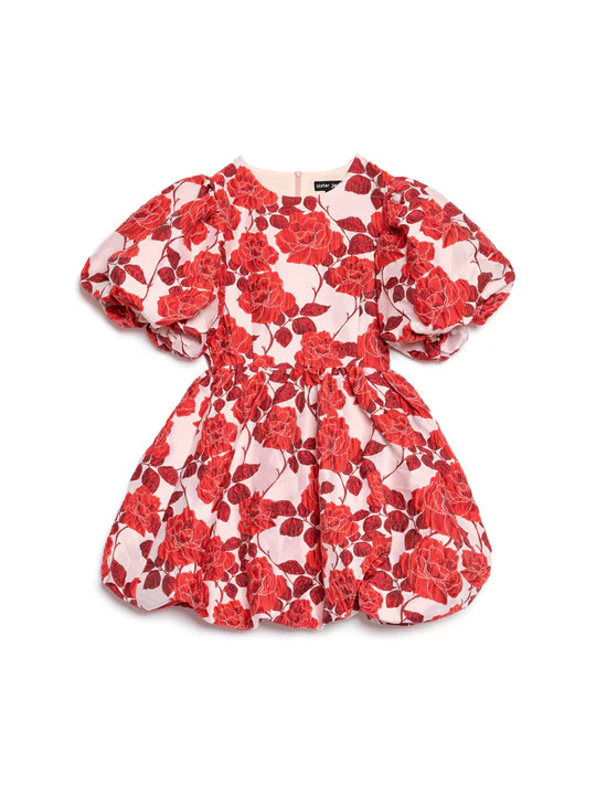 Wild Berry Jacquard Dress | Sister Jane (UK)