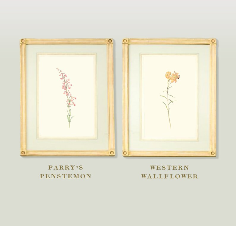 Collection of Vintage Botanical Prints Set of 12 Antique - Etsy | Etsy (US)