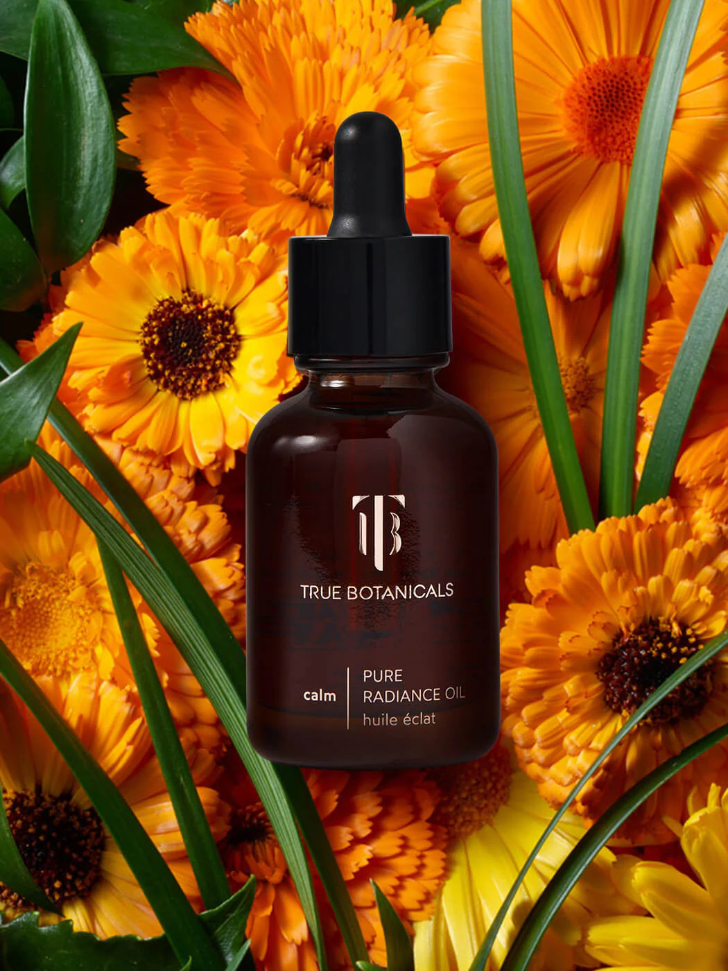 Pure Radiance Oil | True Botanicals