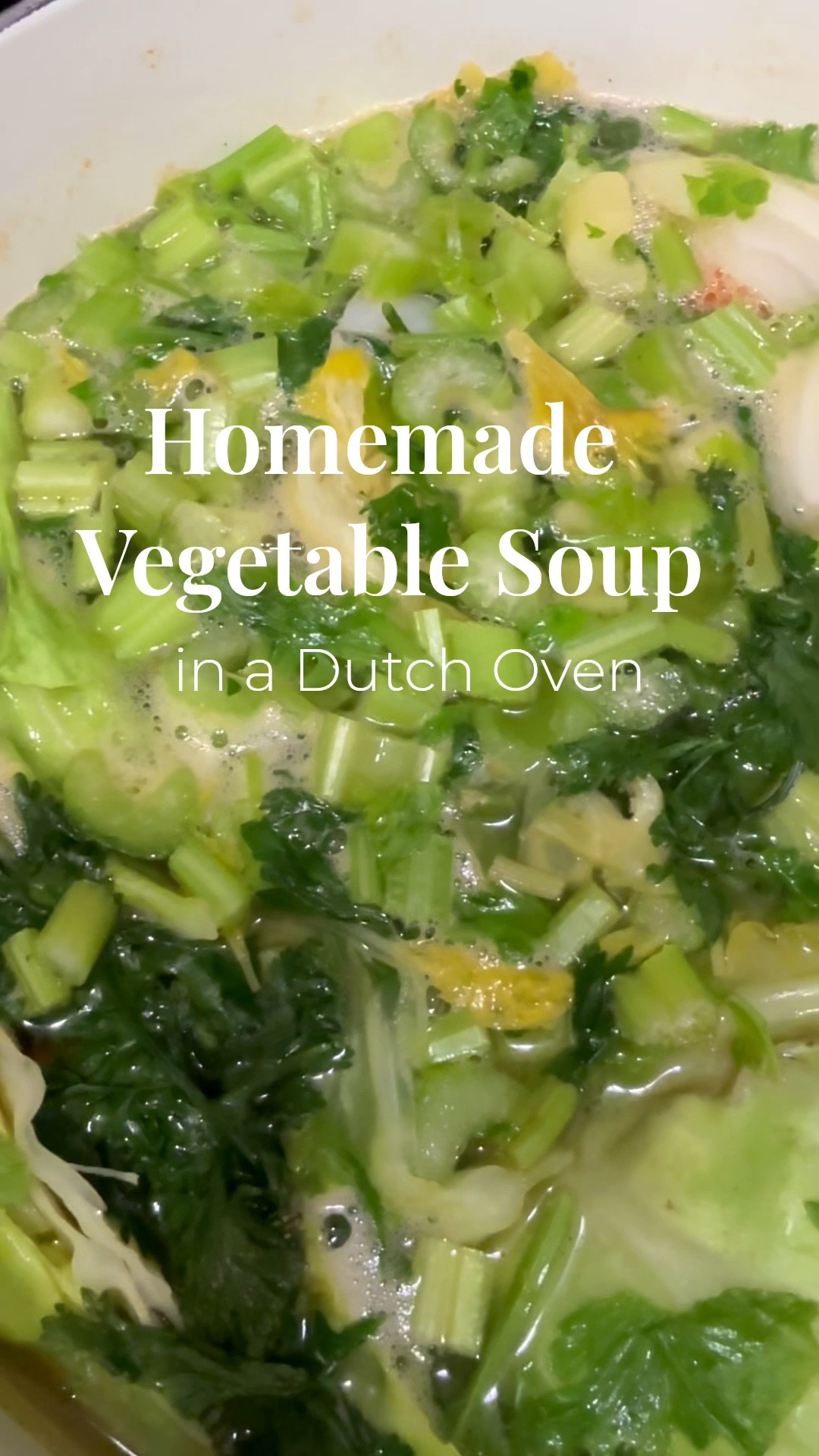 Dutch Oven Vegetable Soup Recipe
Nothing says winter comfort like a pot of easy homemade soup simmering on the stove in a Le Creuset Dutch Oven. My mom and my grandma’s caldo de vegetales (caldito). It’s so good!! 

Yes, it’s vegetable soup — but I added a spoonful of chicken bouillon for flavor. The result was warm, rich, and satisfying. You can always add your favorite vegetarian bouillon powder or cubes if you prefer! 

We added Knorr Chicken bouillon powder to the water, cabbage, baby carrots, small potatoes, corn, celery and cilantro! 

I topped mine with feta cheese and croutons - my favorite!! 😍 

🫕 I’ve linked my go-to Dutch oven, my amazing induction oven, the exact bouillon I keep stocked in my pantry and more! 

✨ Tap to shop my cozy kitchen favorites — perfect for your next soup night.

[Shop everything I used →]


#LTKHome #LTKGiftGuide #LTKfoodie