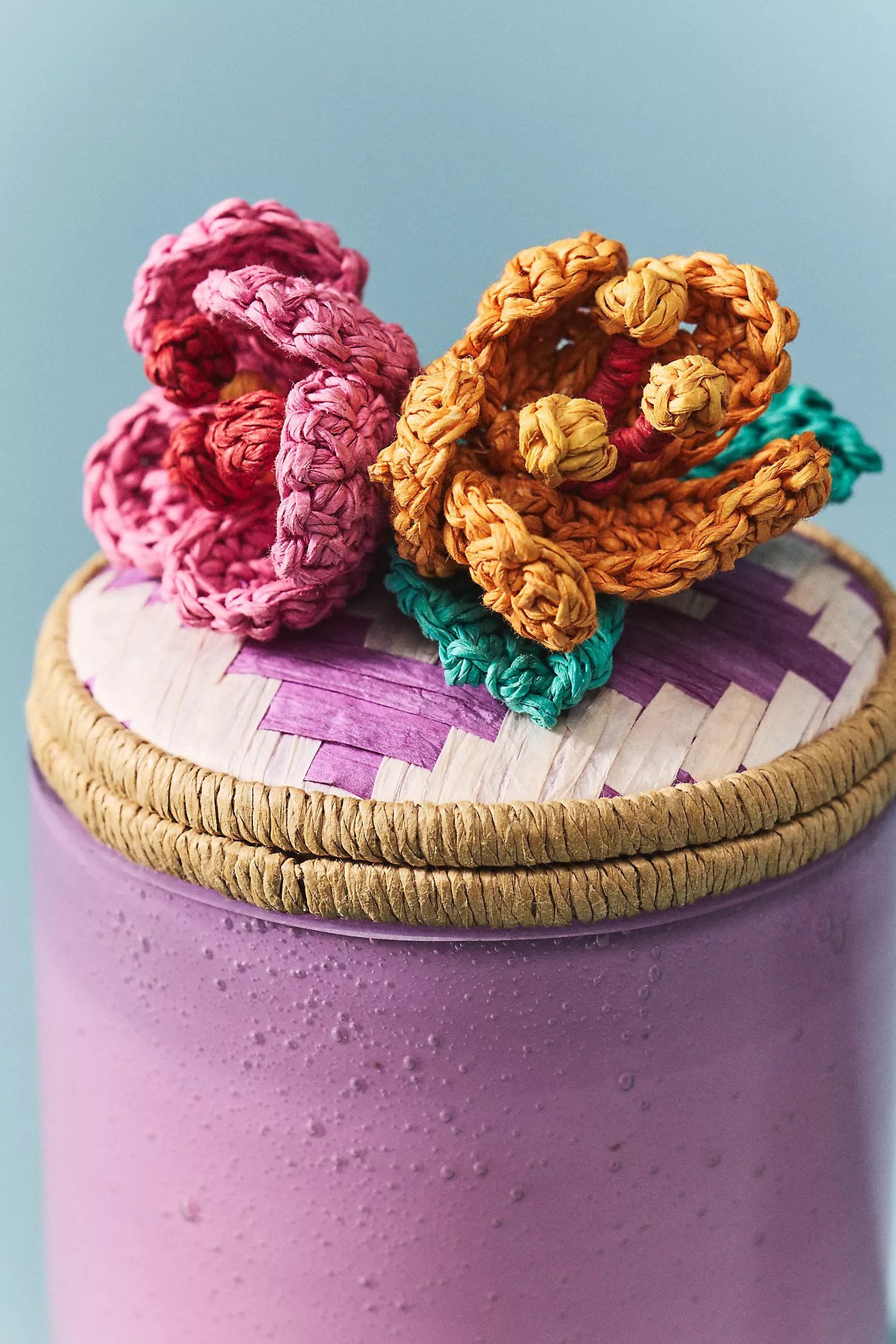 Fruity Hibiscus & Pink Guava Glass Candle | Anthropologie (US)