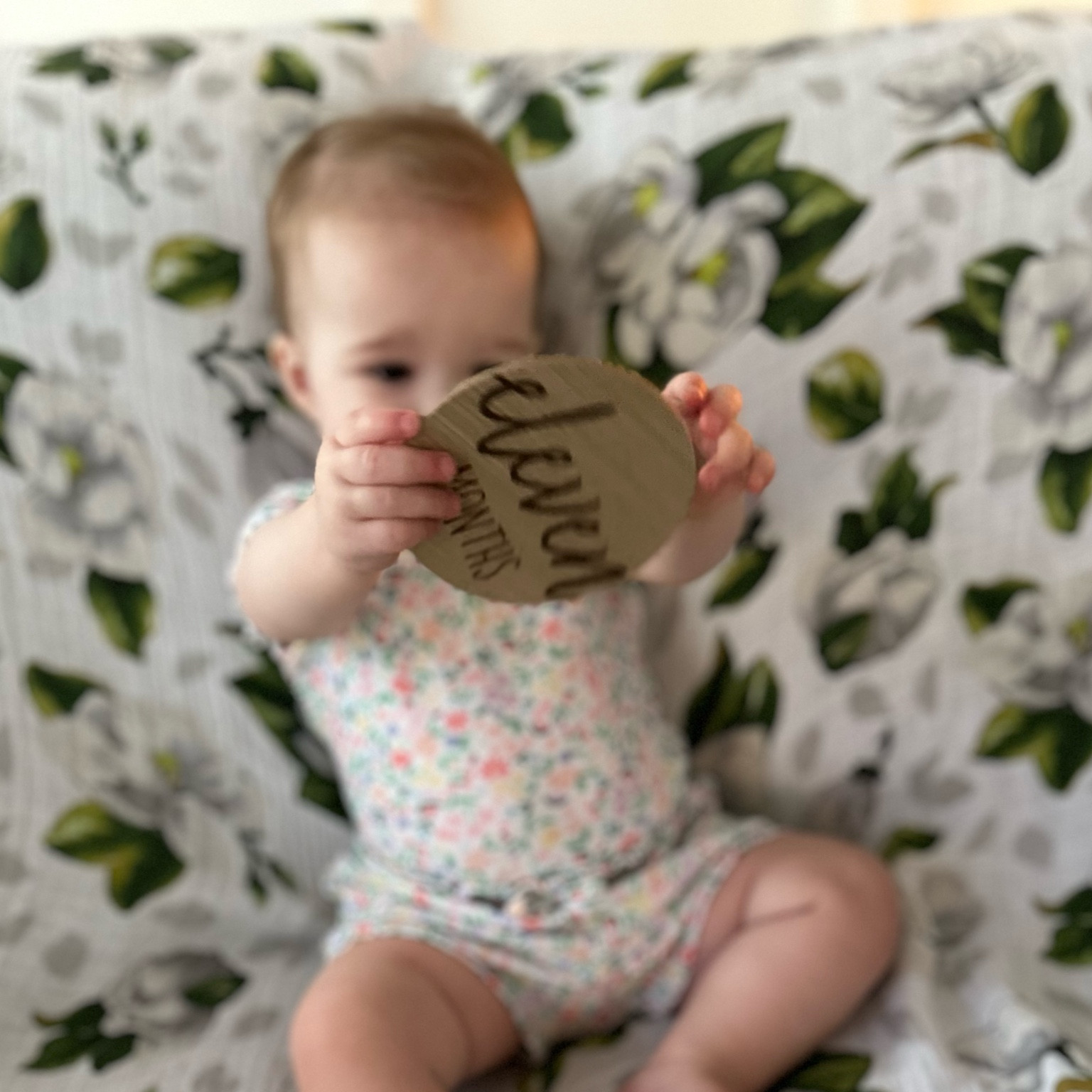 In case any other new moms want the basics for a monthly newborn photo shoot. Good luck and Godspeed 😂

#LTKBaby #LTKBump #LTKKids