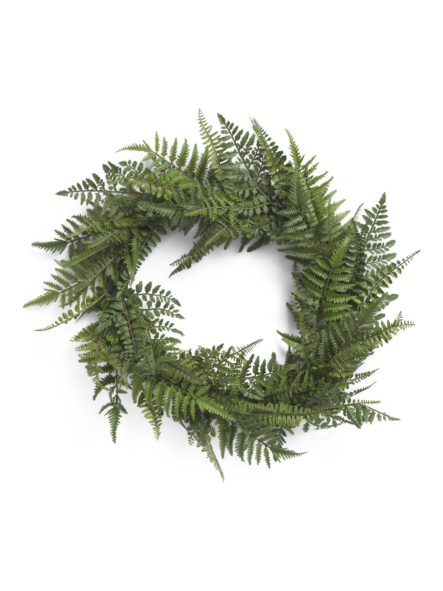 28in Fern Wreath With Uv Protection | Home Essentials | Marshalls | Marshalls