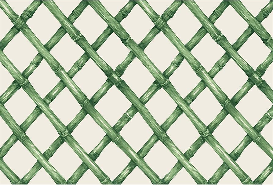Disposable Paper Placemats for Dining Table - Lattice Green Cross Check Pattern Place Mats for Pa... | Amazon (US)