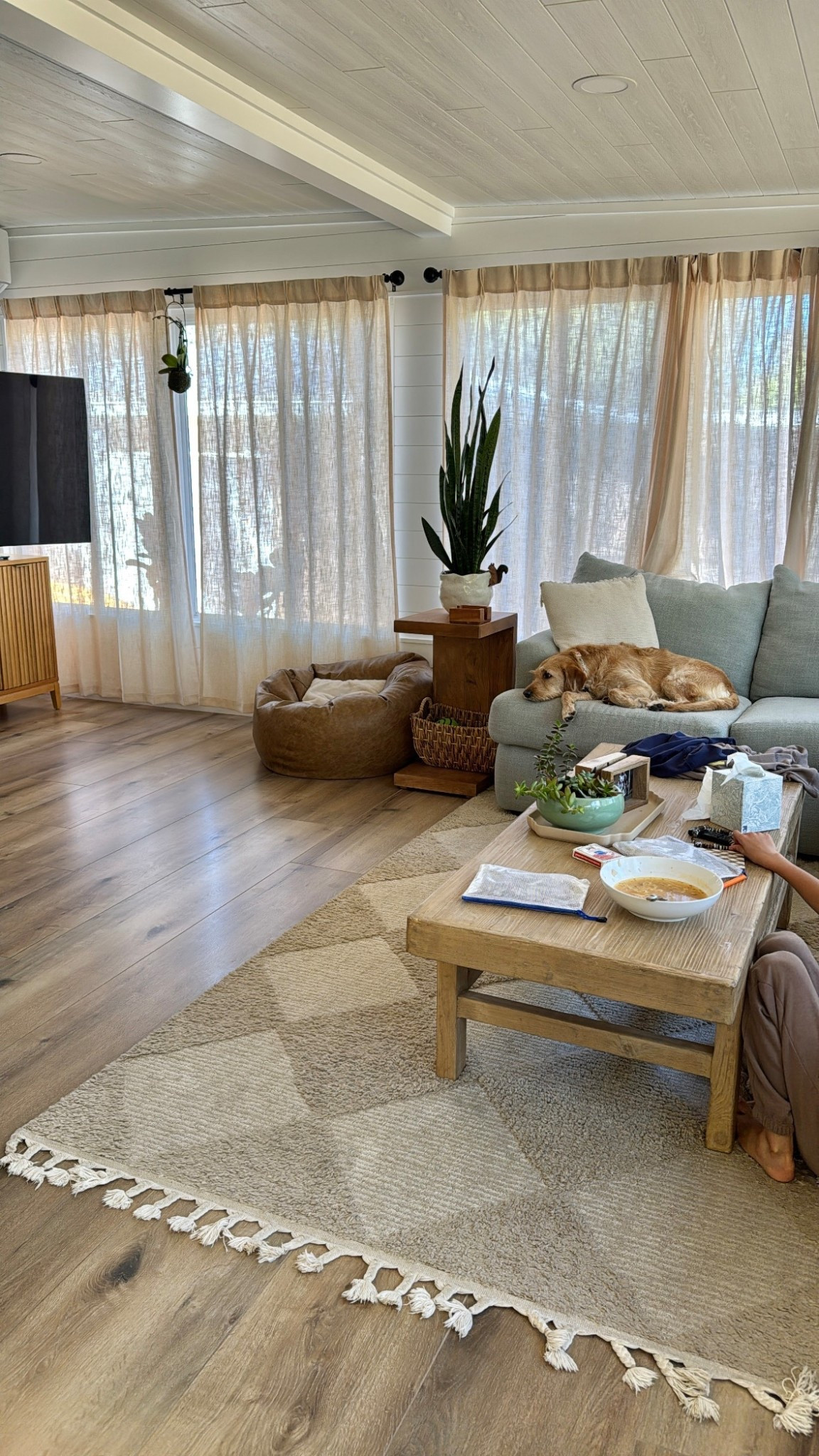 My sunroom rug

Love this one so much! It’s on mega sale 

#LTKHome