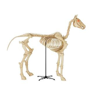 6 ft. Skeleton Horse | The Home Depot