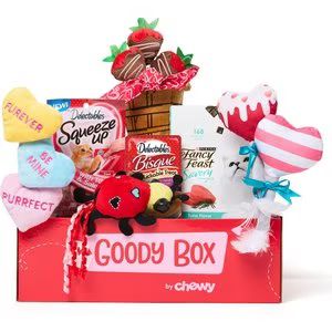 GOODY BOX Valentine's Cat Toys & Treats - Chewy.com | Chewy.com