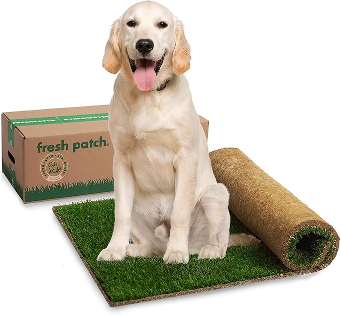 Fresh Patch Real Grass Patch for Dogs, Cats, and Extra Large Pets 30 Pounds and Above – Disposa... | Amazon (US)