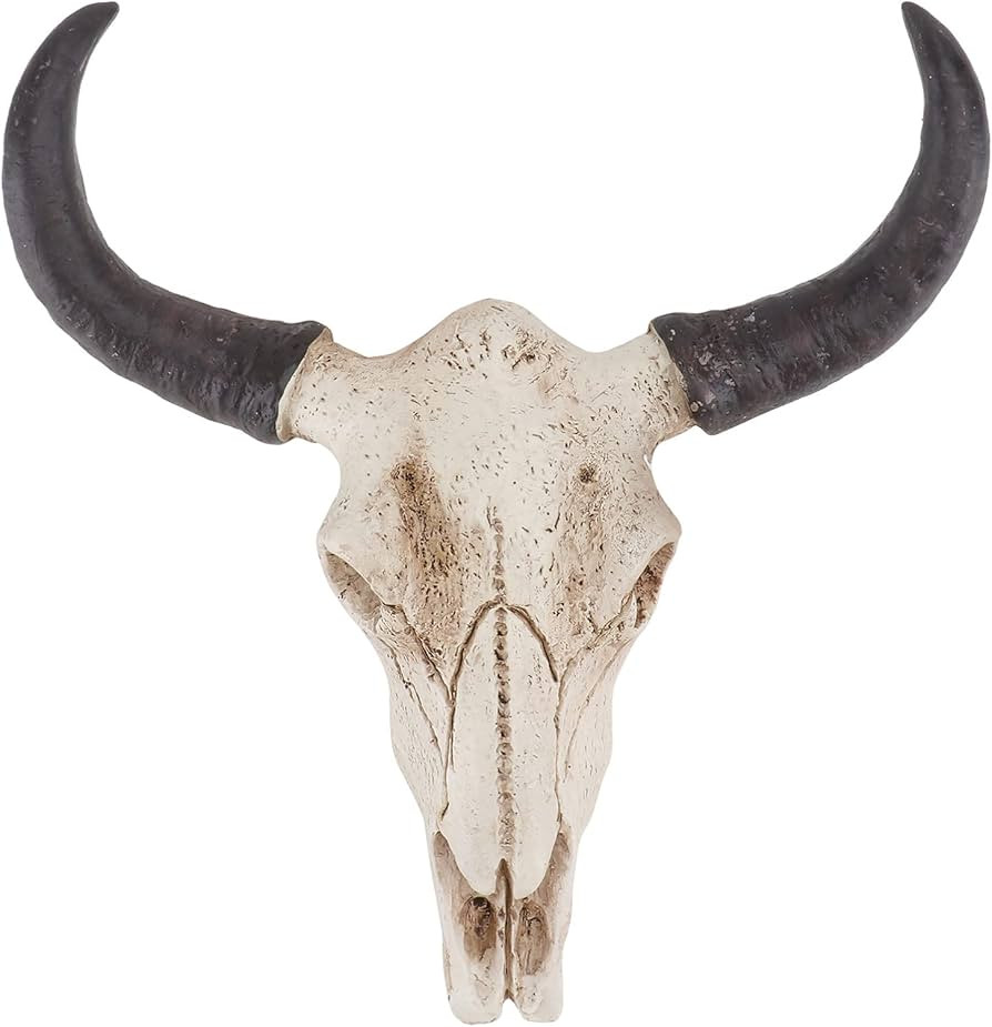 Wakauto Long Horn Cow Skull Wall Plaque Made from Resin Christmas Art Crafts Ornaments,Cow Bull Biso | Amazon (US)