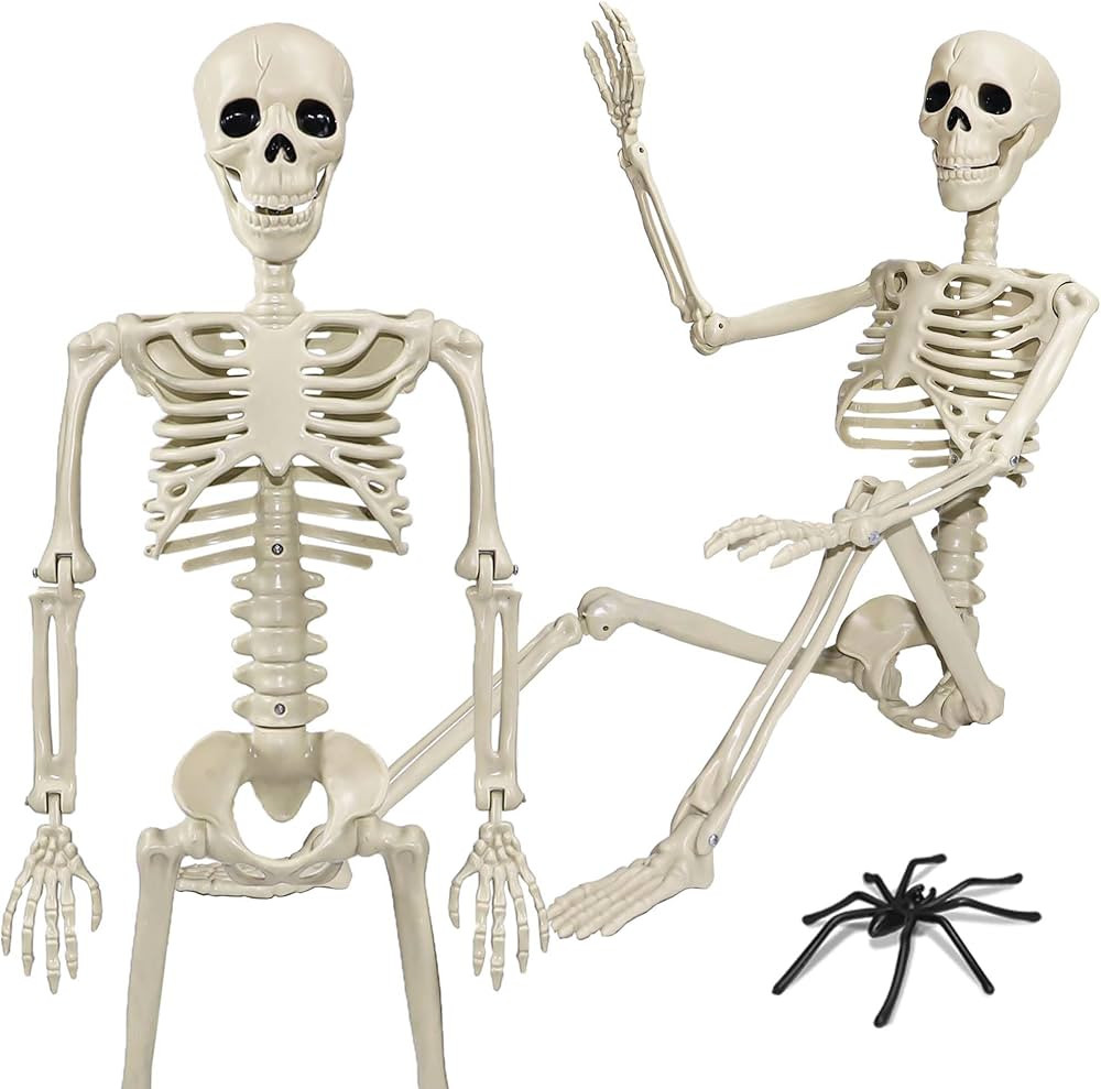 36" Skeleton Halloween Decorations, 3ft Life Size Human Skeleton with Full Body Movable Posable J... | Amazon (US)