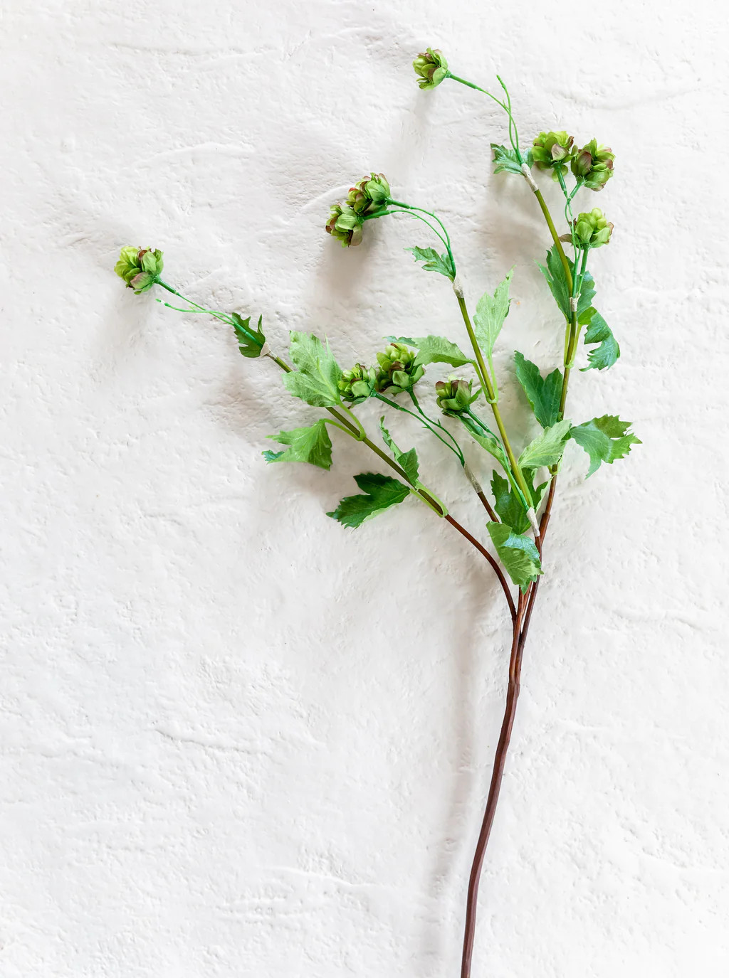 Faux Hop Stem | House of Jade Home