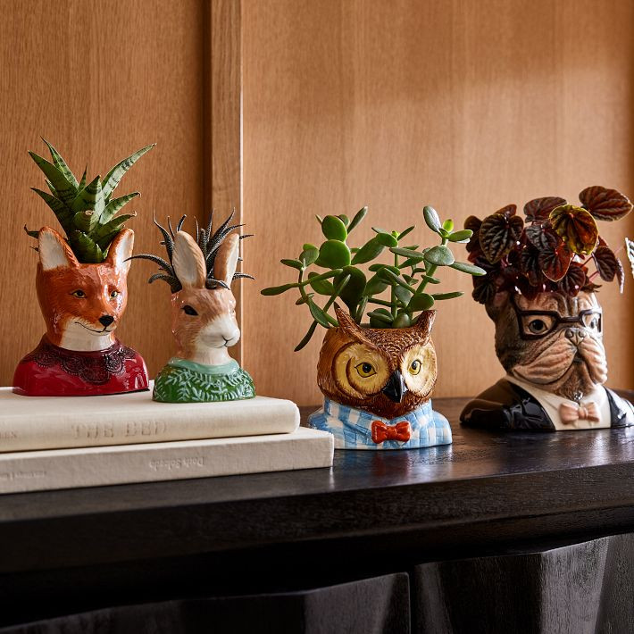 Dapper Animal Planters | West Elm (US)