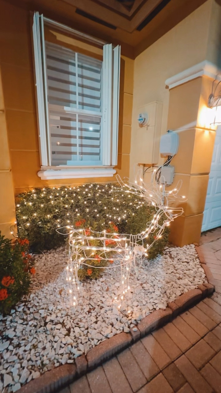 Cheap and cute christmas lights ✨

#LTKVideo #LTKSeasonal #LTKfindsunder50