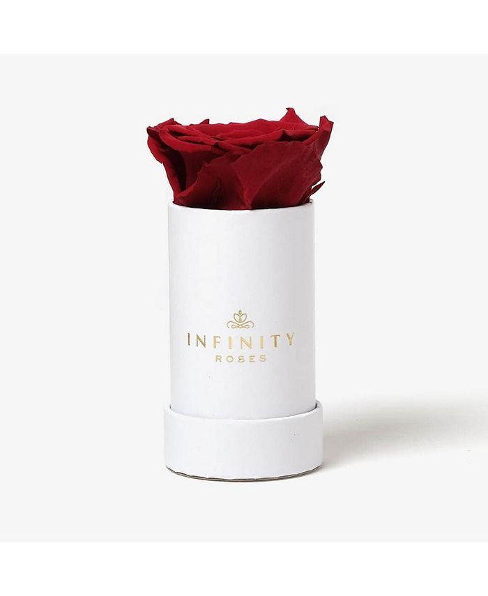 Infinity Roses Single Red Real Rose Preserved To Last Over A Year & Reviews - All Live Plants - H... | Macys (US)