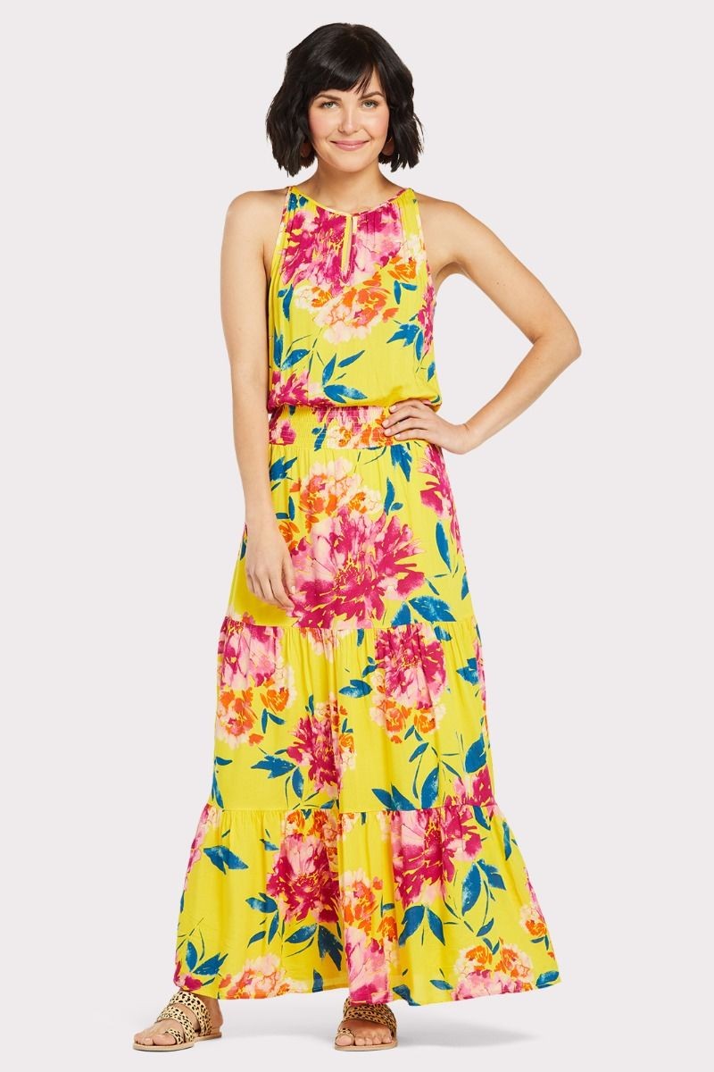 Catalina Maxi Dress | Evereve