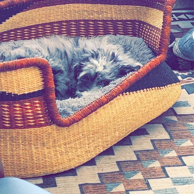 Bolga Basket, Hand Woven Basket, Basket With Handle, Handwoven Basket, U-shopper, Toy Basket, Min... | Etsy (US)