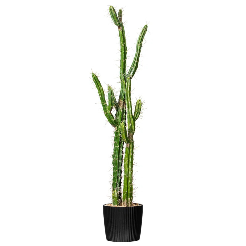 Artificial Green Cactus, Black Plastic Planters Pot | Wayfair North America
