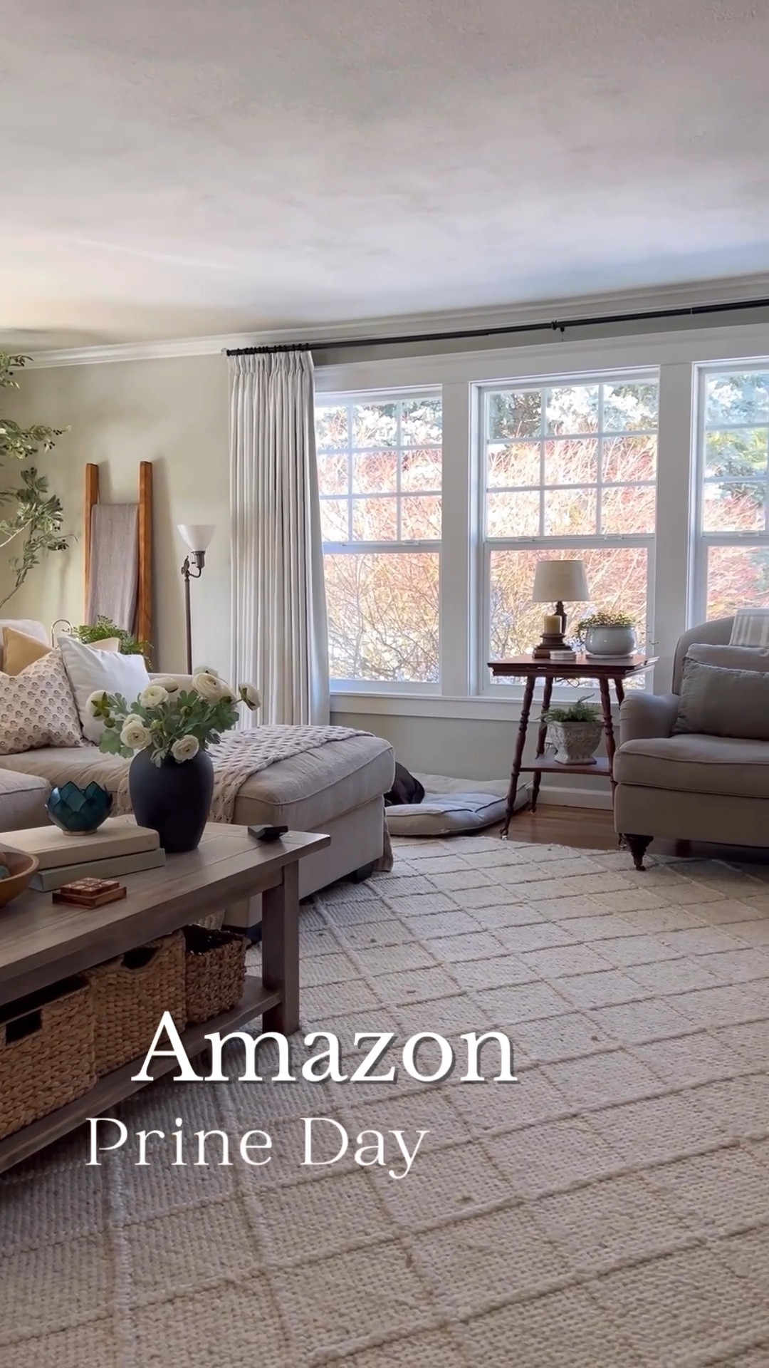 This is such such a great time to get all of your favorites for a low price. Rounded up some of my favorite Amazon prime day deals. I’ll link the ones here but check out my Amazon storefront Lavender Brook Farm for the full list. 

#LTKVideo #LTKxNSale #LTKHome