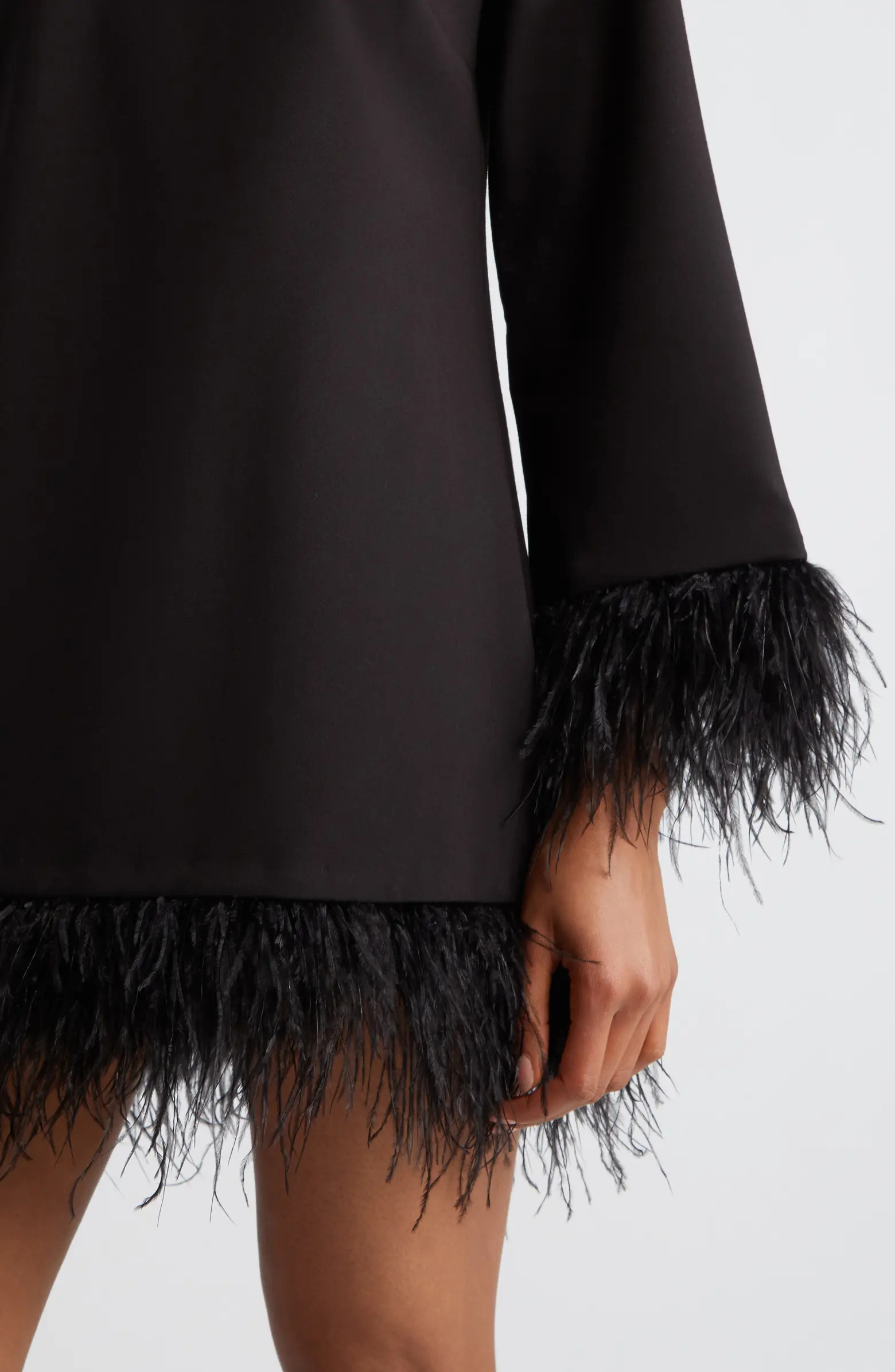 Marullo Feather Trim Long Sleeve Dress | Nordstrom