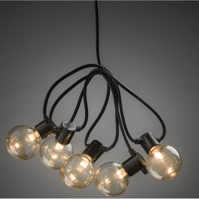 Wurthing 10 Light Festoon Light | Wayfair UK
