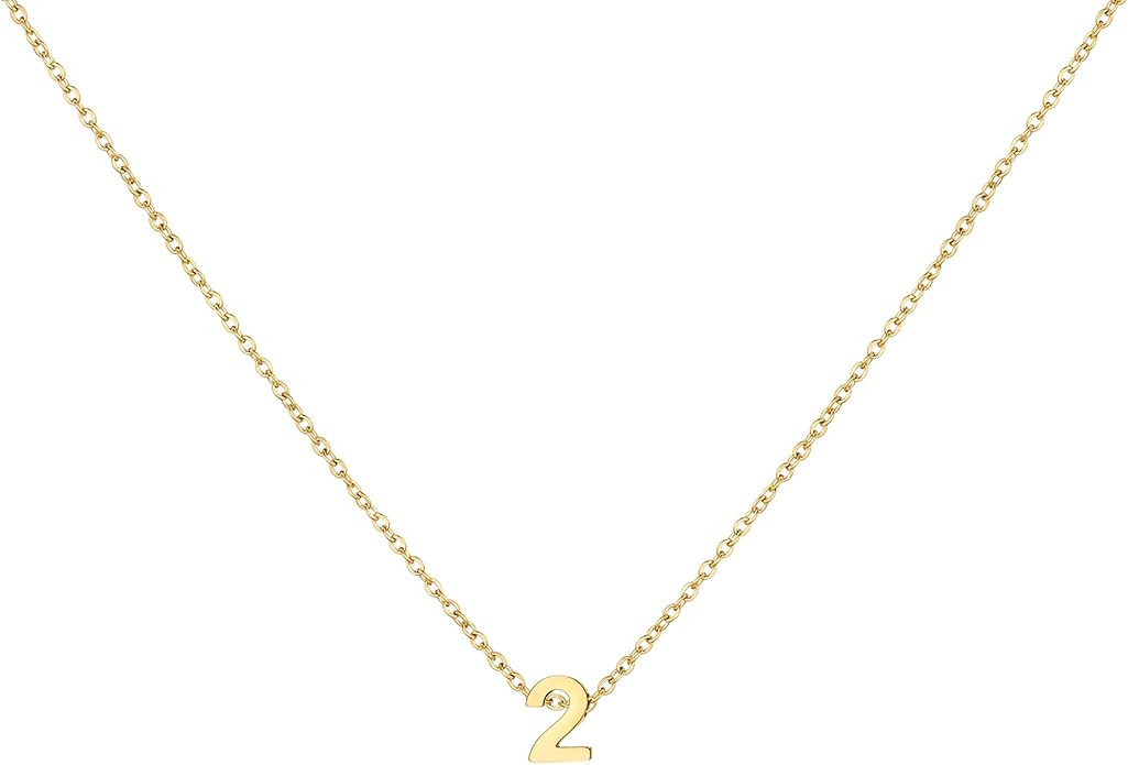 Gold Number Necklace for Women 18K Gold Plated Dainty Charm Birth Month Cute Pendant Choker Neckl... | Amazon (US)