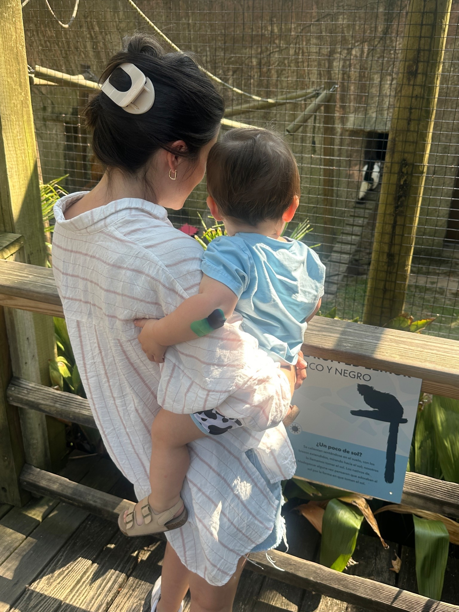 My Holy Grail hair clip in this phase of my life is this Teleties hair clip. Driving safe, good for my hair, and effective at keeping my hair out of the hands of my rambunctious toddler  

#LTKBeauty #LTKTravel #LTKFindsUnder50