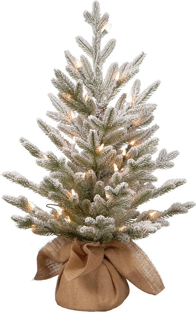 National Tree Company Pre-Lit Artificial Christmas Tree, Green, Snowy Cambridge, White LED Lights... | Amazon (US)