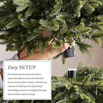 Balsam Hill 6ft Pre-Lit Alpine Christmas Tree - Sparse Artificial Christmas Tree with 200 Clear L... | Amazon (US)