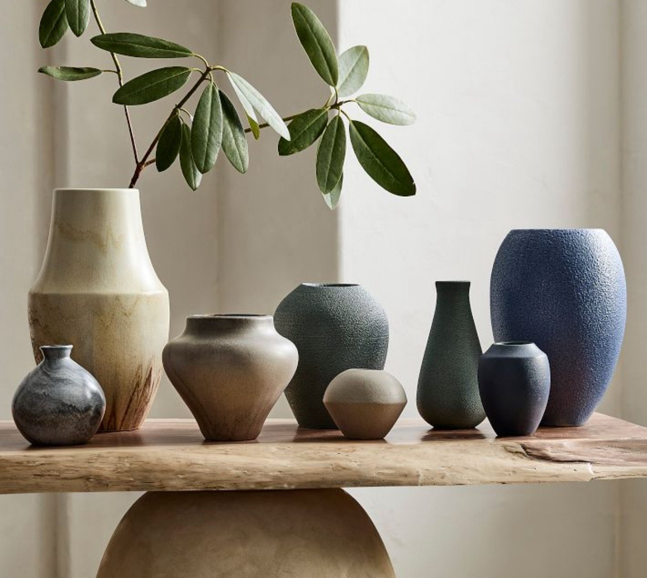 West Elms new Sahar vases, multiple colors and sizes. Organic & modern. Super affordable. 

#LTKFindsUnder100 #LTKHome #LTKFindsUnder50