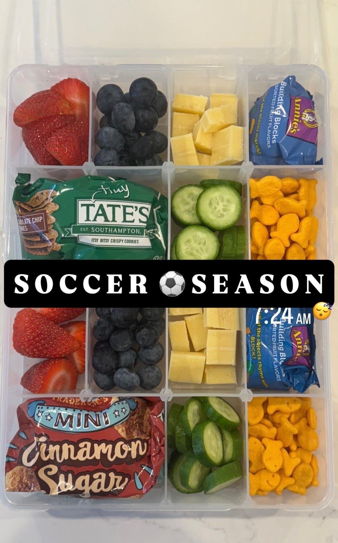 Linking our favorite snack box that’s been a total lifesaver during sports season, road trips and plane rides! The adjustable dividers make it SO easy to pack everyone’s picks!

#LTKFamily #LTKKids #LTKHome
