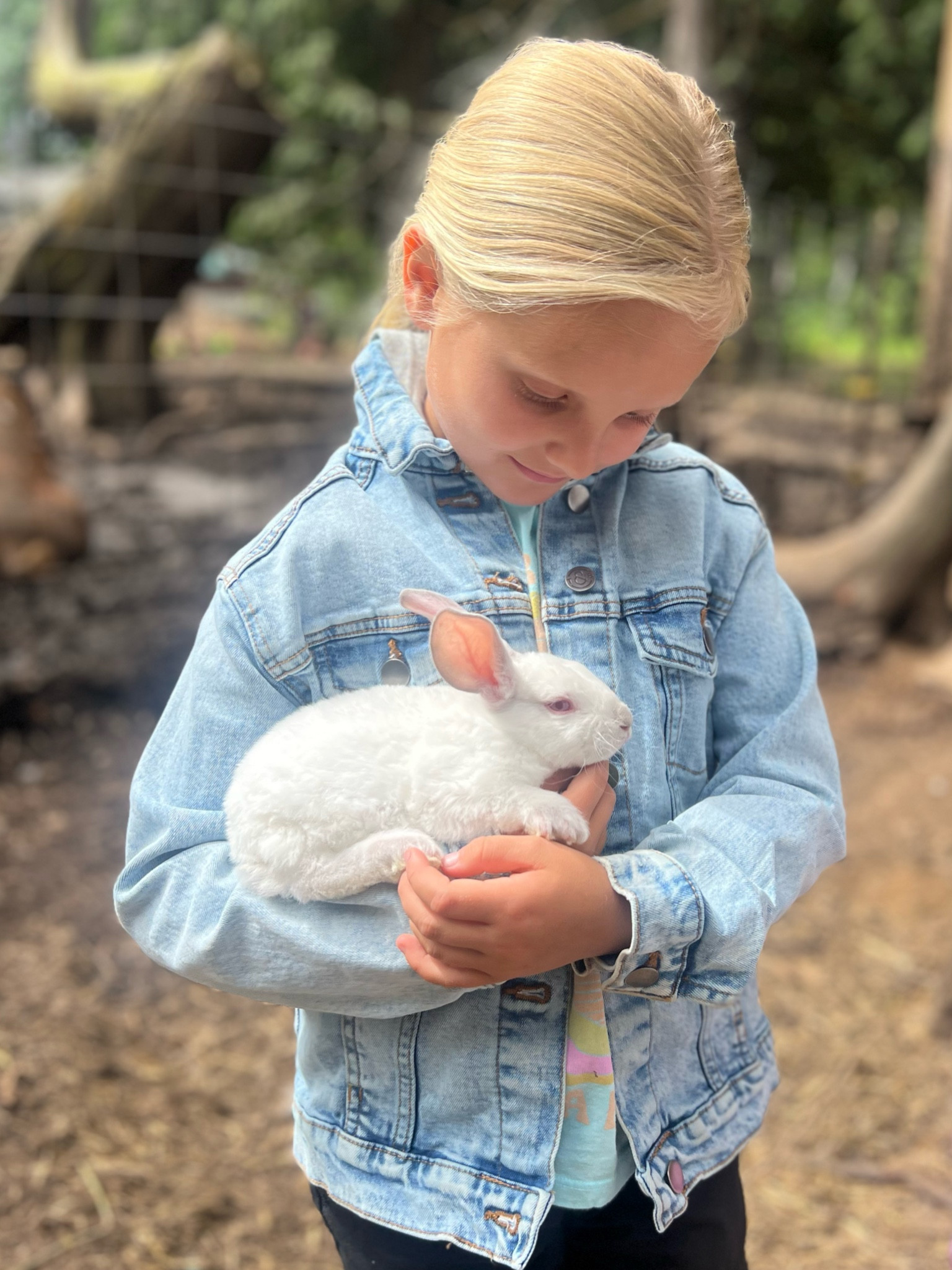 Nordstrom kids denim jacket tucker + Tate 

#LTKKids #LTKxNSale