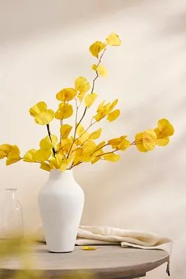 Dried Yellow Eucalyptus Populus Bunch | Anthropologie (US)