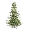 Puleo International 7.5 Foot Pre-Lit Aspen Fir Artificial Christmas Tree with 700 UL Listed Clear... | Amazon (US)