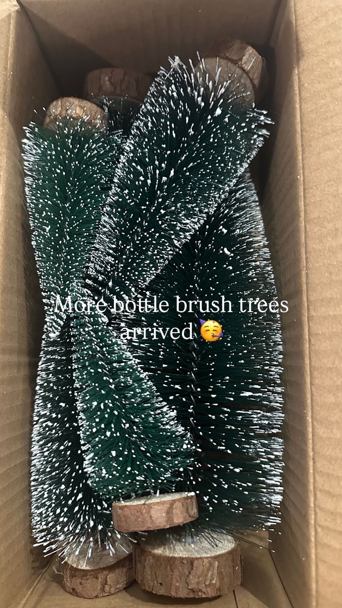 These bottle brush trees from Amazon are perfect for my Christmas village! 

#LTKHoliday #LTKSeasonal #LTKStyleTip