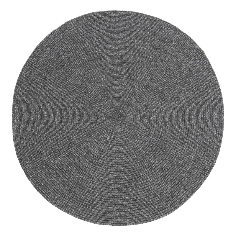 Briyanah Handmade Braided Charcoal Indoor/Outdoor Rug | Wayfair North America