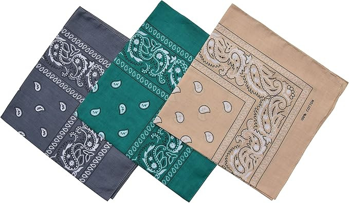 Raylarnia Paisley 3 piece Assorted Cowboy Bandanas Cotton 22 x 22 inch | Amazon (US)